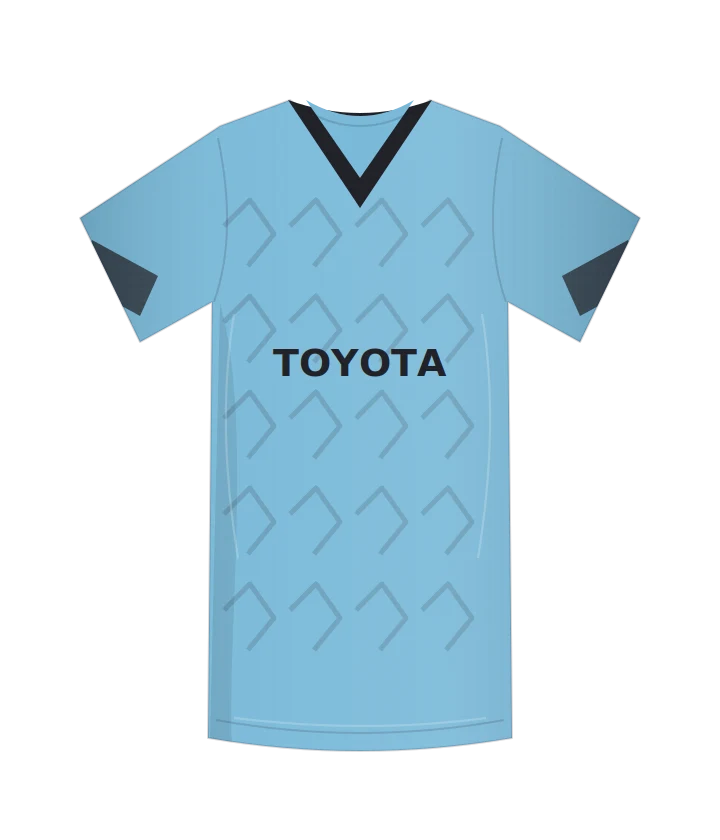 Fiorentina 2007/08 · Goalkeeper · GK Away
