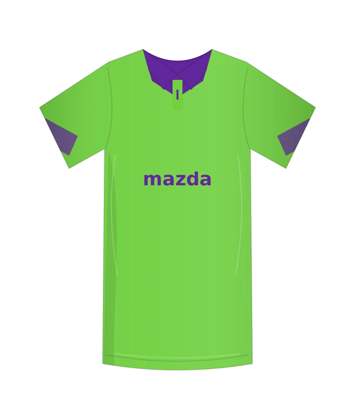 Fiorentina 2013/14 · Goalkeeper · 2ª portiere