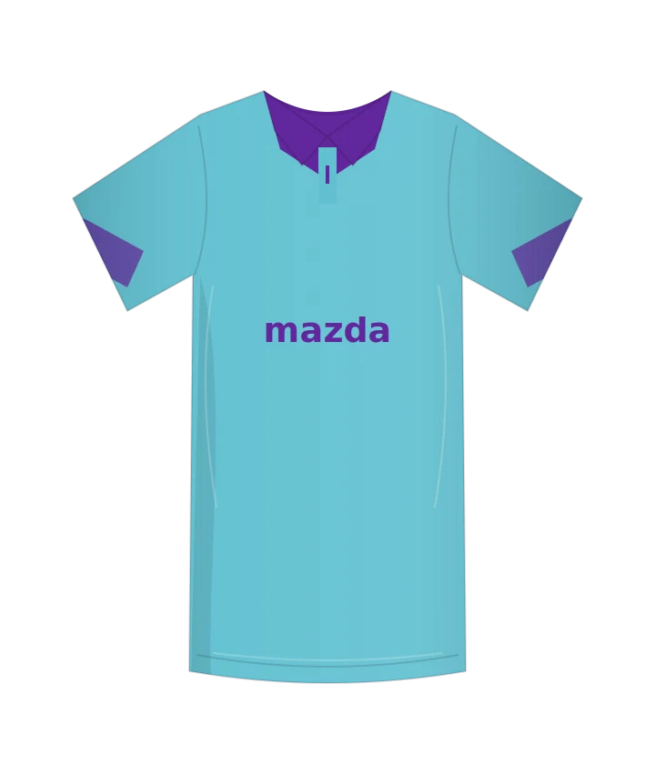 Fiorentina 2013/14 · Goalkeeper · 3ª portiere — original reconstruction